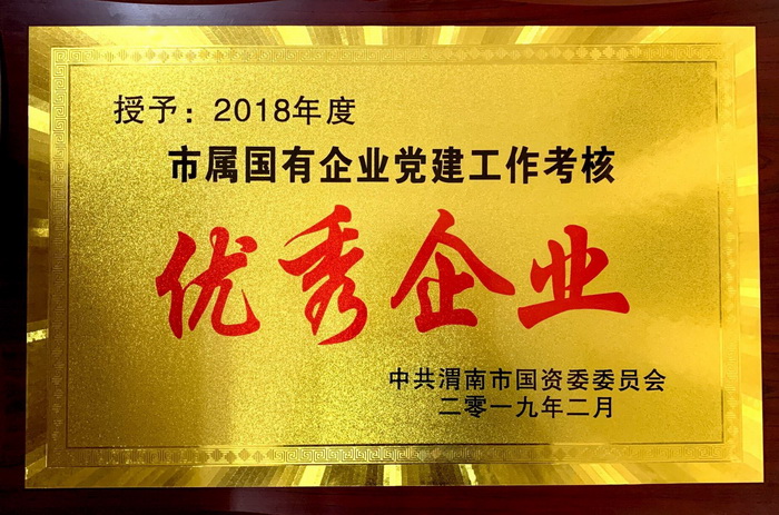 2018年黨建工作先進(jìn)單位.jpg