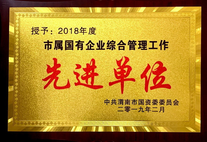 2018綜合管理先進(jìn)單位.jpg