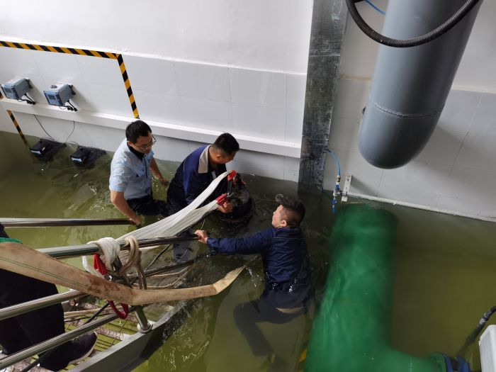 Ѵ�鴵푛_�h̖ �^��(zh��n)һ���@��ɫ (8).jpg