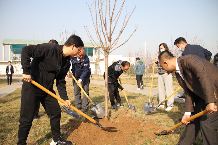 ��Ͷֲ��� (2).JPG